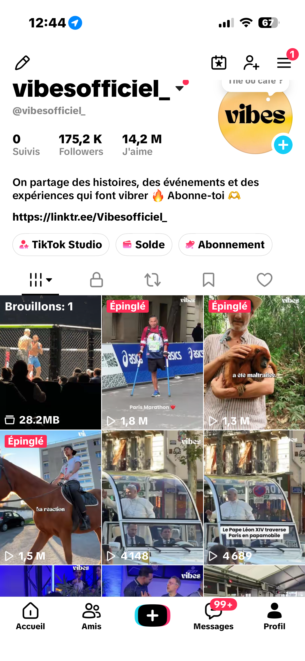 Vibes sur TikTok